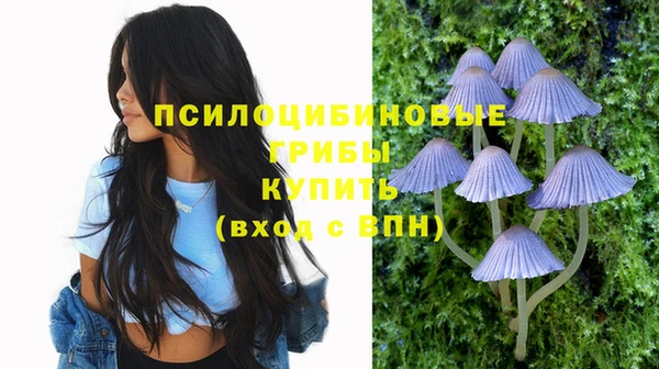 винт Магас
