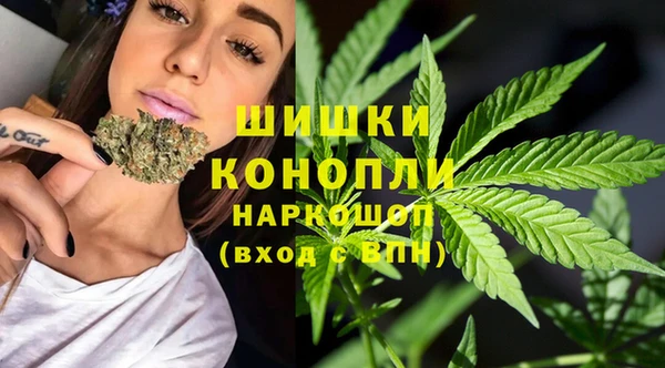 винт Магас
