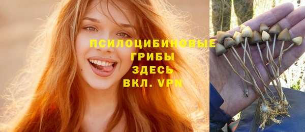 скорость Липки