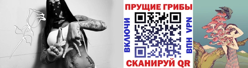 Псилоцибиновые грибы прущие грибы  где купить наркоту  Михайлов 